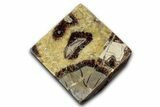 Wide Polished Septarian Cube - Madagascar #337274-1